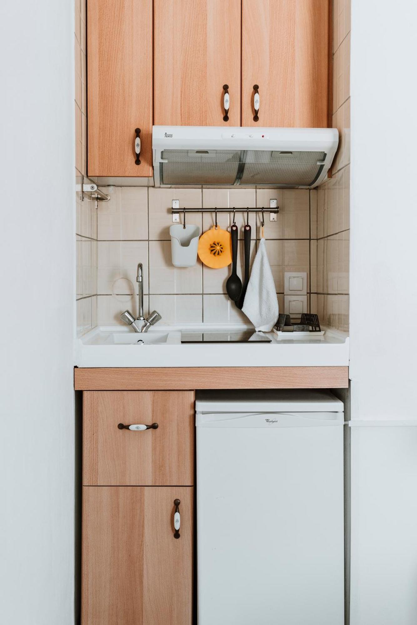 Bofor Studios & Rooms Livadakia 部屋 写真